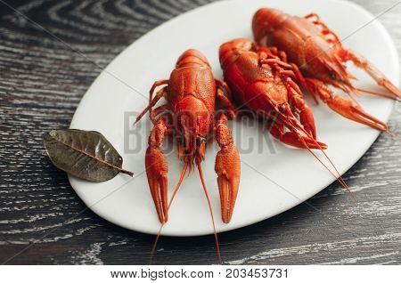 Crayfish On A White Plate On A Dark Background