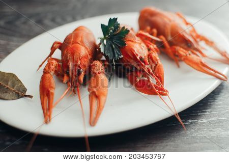 Crayfish On A White Plate On A Dark Background