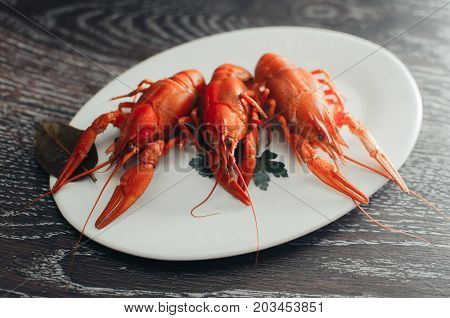 Crayfish On A White Plate On A Dark Background