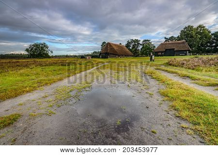 Traditional sheep cage with thatched cap on the heath at Heerde - Epe. A typical picture of a landscape on the Veluwe the vast natural reserve of the Netherlands