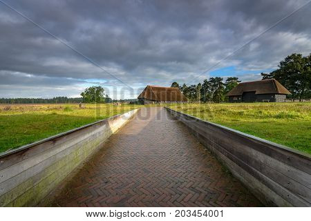 Traditional sheep cage with thatched cap on the heath at Heerde - Epe. A typical picture of a landscape on the Veluwe the vast natural reserve of the Netherlands