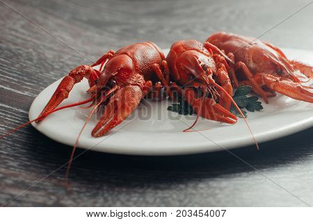 Crayfish On A White Plate On A Dark Background