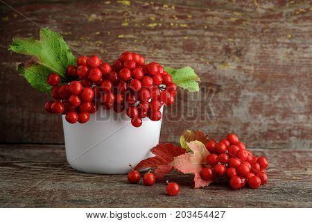 Red Rowanberry In A Vase On A Wooden Background