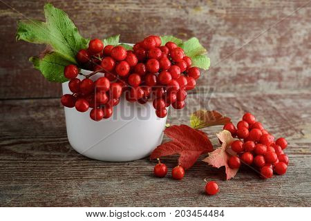 Red Rowanberry In A Vase On A Wooden Background