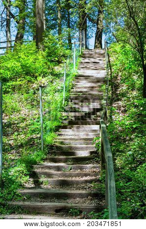Forest trail hiking trail in Neandertal with steep stairs
