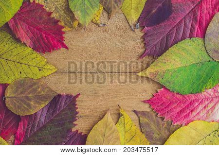 Autumn Leaves Over Wooden Background With Copy Space