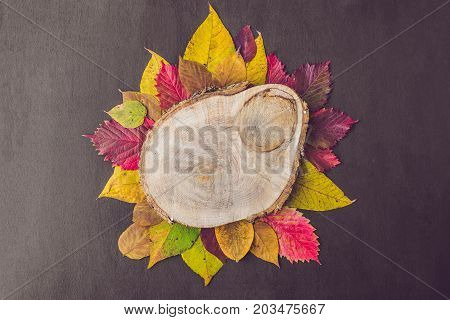 Autumn Leaves Over Wooden Background With Copy Space