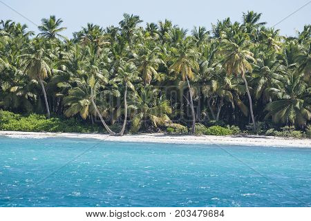 Caribbean sea with turquoise water and palms close to saona island