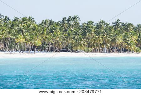 Caribbean sea with turquoise water and palms close to saona island