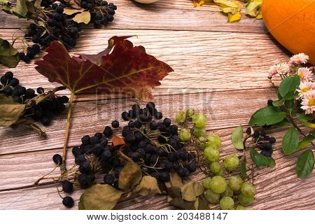 Autumn still life: chokeberry with yellow leaves on a wooden background