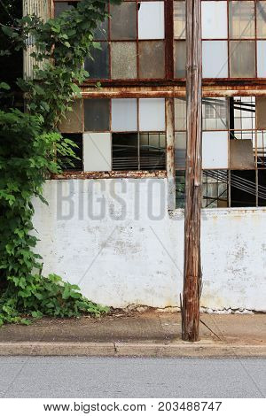 Kudzu growing beside derelict building, vertical aspect