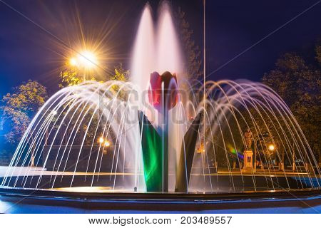 A beautiful illuminated city fountain Flower Tulip at autumn night. The downtown of Pokrov in Ukraine, 2017
