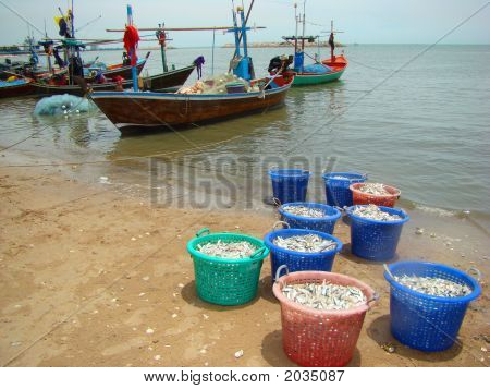 Puerto pesquero de Thai
