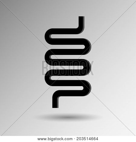 Intestinal vector design ,healthy concept ,Vector illustration