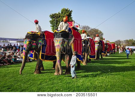 People And Elephants During A Colorful Festival