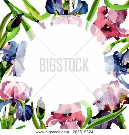 Wildflower iris flower frame in a watercolor style. Full name of the plant: flower-de-luce. Aquarelle wild flower for background, texture, wrapper pattern, frame or border.