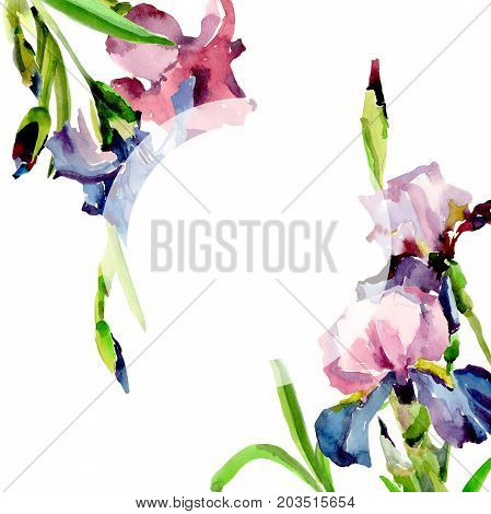 Wildflower iris flower frame in a watercolor style. Full name of the plant: flower-de-luce. Aquarelle wild flower for background, texture, wrapper pattern, frame or border.