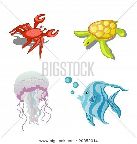 Animali del mare
