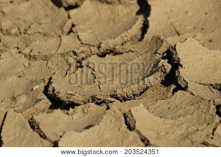 Parched ground/This is a detail of parched ground-dry puddle.