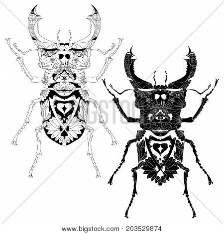 Beetle. Hand Drawn Sketch.