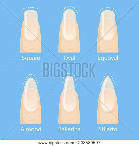 Nail manicure, set of nails shapes - oval, square, almond, stiletto, ballerina squoval Vector