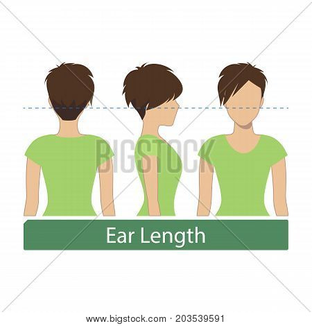 Hair length for haircuts and hairstyles - ear length. Vector.