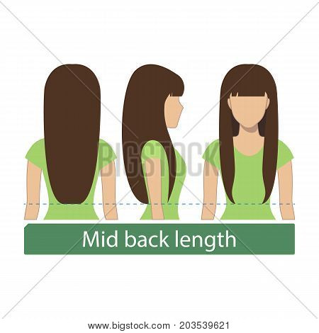 Hair length for haircuts and hairstyles - mid back length. Vector.