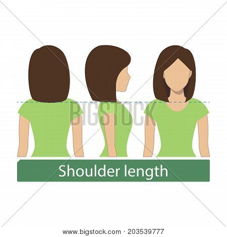 Hair length for haircuts and hairstyles - shoulder length. Vector.