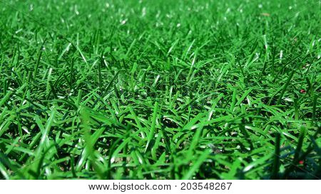 Artificial green grass - a modern surface for playgrounds close up selective focus
