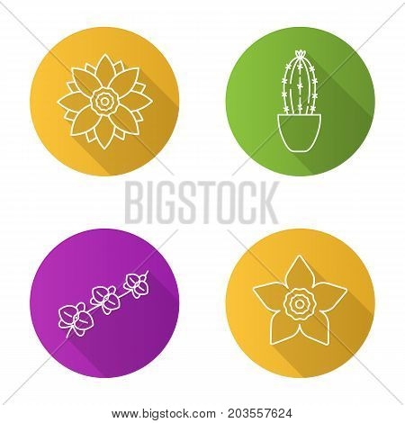 Flowers flat linear long shadow icons set. Lotus, daffodil, orchid, branch, cactus in flowerpot. Vector outline illustration
