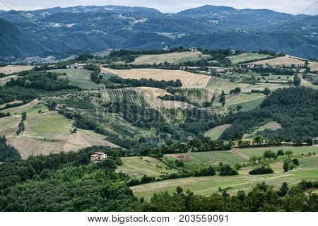 Summer landscape along the road from Serramazzoni to Marano sul Panaro (Modena Emilia Romagna Italy) at summer
