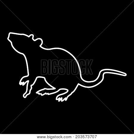 Rat It Is Icon .