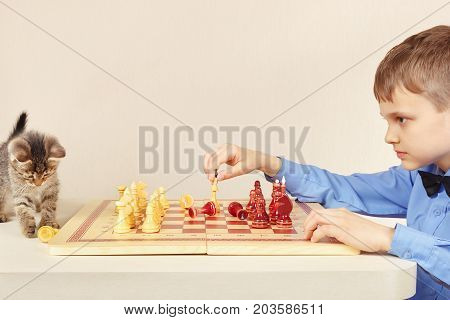 Young chessplayer with a pretty kitten plays chess.