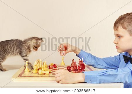 Little chessplayer with a striped kitten plays chess.
