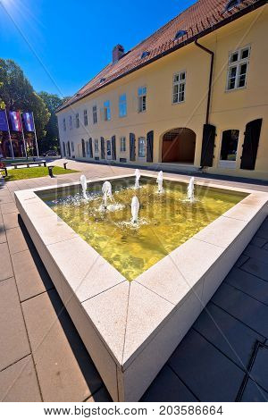 Town Of Virovitica Street And Fountain View