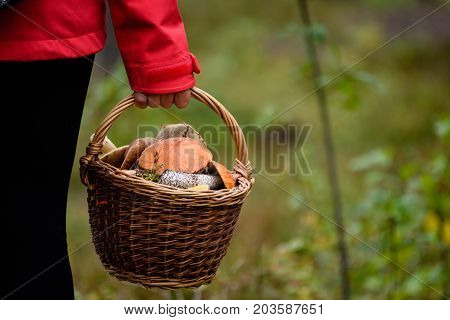 Young Woman In Red Jacket Enjoying Nature In Forest. Latvia