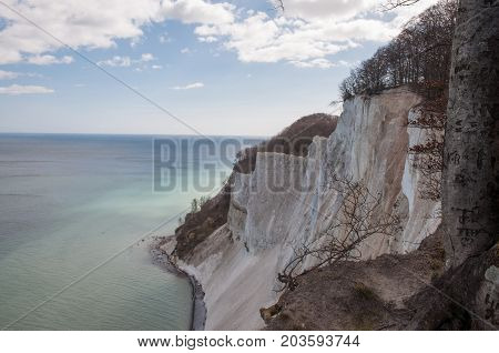 Beautiful Nature of Mons Klint limestone cliffs in Denmark