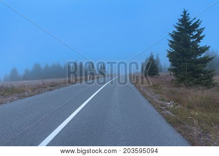 Driving on winding mountain road through the misty spruce woods at spooky morning in autumn.