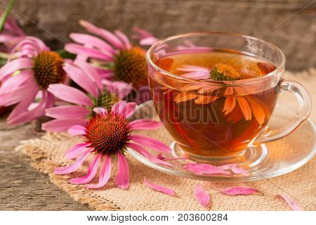 Cup of echinacea tea on old wooden table.