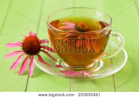 Cup of echinacea tea on green wooden table.