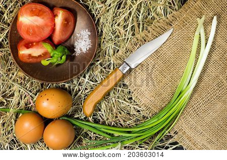 Knife For Cutting Vegetables In The Field, Vegetable Garden In Nature.