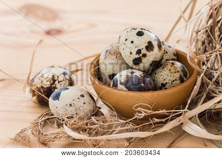 quail eggs in a bowl and laid out around it border. on wooden background.