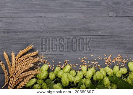 Frame of hop cones with ears of wheat on black wooden background. Ingredient for beer production. Top view with copy space for your text.