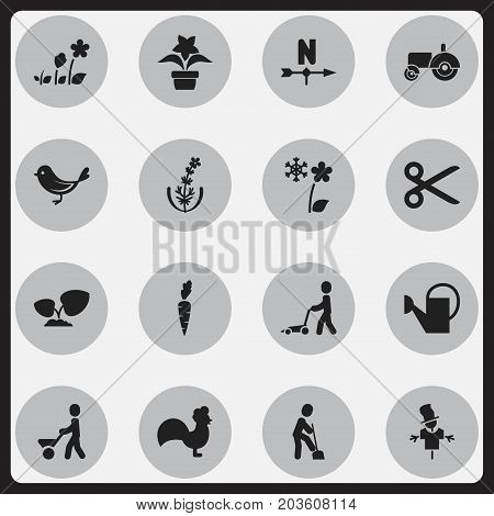 Set Of 16 Editable Planting Icons. Includes Symbols Such As Bailer, Root Vegetable, Rooster And More