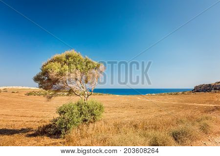 Cyprus Ayia Napa, Cape Greco Peninsula, National Forest Park