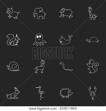 Set Of 16 Editable Zoo Doodles. Includes Symbols Such As Serpent, Shadoof, Urchin And More