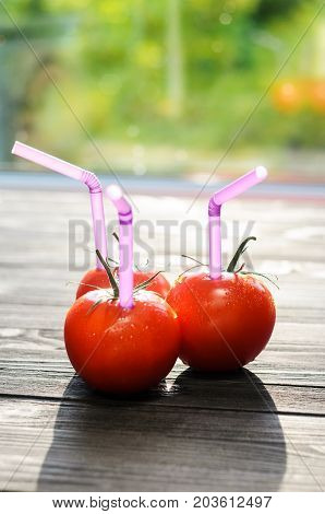 Three ripe red tomatoes with straws on black wood table on blurry green background. Fresh juice healthy food concept. Tomato as a vessel with fresh juice