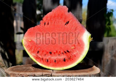 A skimpy of a juicy watermelon, standing on a cut of an abiotic tree.