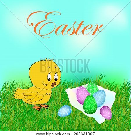 Cute Baby Chick Shows A Side Isolated On A White Background