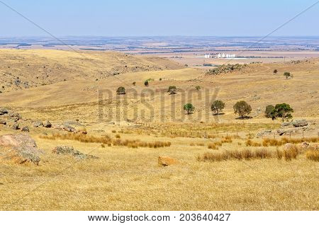 Steep dry and rocky pasture between Angaston and Murray Bridge - SA, Australia